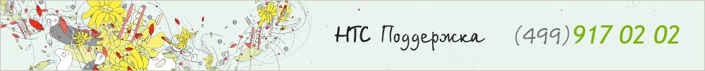 Фирменный сервисный центр HTC