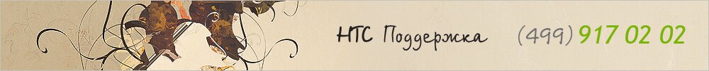 Фирменный сервисный центр HTC